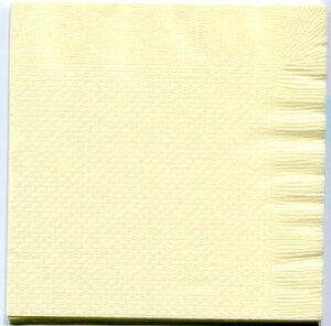 yivLz4܂莆ivLuCG[vi10pbN1000j