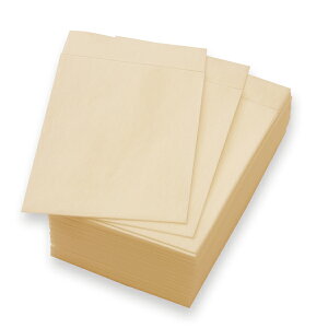 yivLz6܂莆ivLui`J[Nvi100j