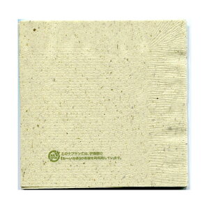 yGRivLz4܂莆ivL ki10pbN1000j