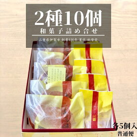 和菓子 10個入 2種 詰め合わせ ギフト 送料無料