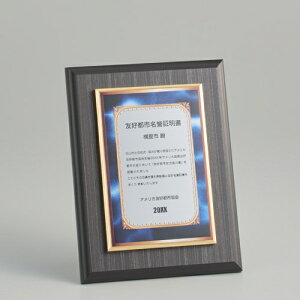 A~\tؐ| A28-02C 210mm