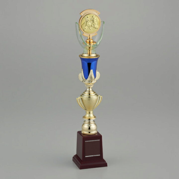 楽天市場 フリーセレクショントロフィー Trz 2331a 高さ470mm B13 記念品と表彰用品の123トロフィー 楽天市場 フリーセレクショントロフィー Trz 2331a 高さ470mm B13 記念品と表彰用品の123トロフィー