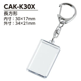 【ハメパチ】自分で作るオリジナル写真入り ナスカンキーホルダー 長方形30x17mm CAK-K30X　50個入り　[D:N]