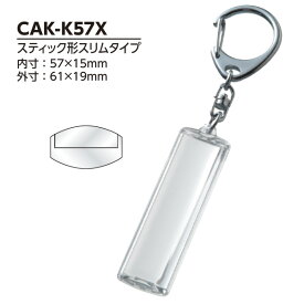 【ハメパチ】自分で作るオリジナル写真入りナスカンキーホルダー 手作りキット CAK-K57X スティック型スリムタイプ 100個入 [D:N]