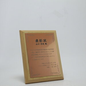 MDF\|ELO| A_[{v[g| XNGA STCYyI[_[ChfUC쐬C fUCۊǁz