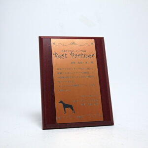 MDF\|ELO| VJ{v[g| MTCYyI[_[ChfUC쐬C fUCۊǁz