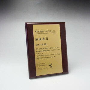 MDF\|ELO| bh}[u{v[g| STCYyI[_[ChfUC쐬C fUCۊǁz