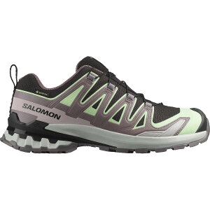 SALOMON XA PRO 3D V9 GORE-TEX (Black / Patina Green / Gray Violet) (T XA PRO 3D V9 SAebNX)yfB[XzygCjO 萫 h NbV ϋv T|[g ubNzy25FWz