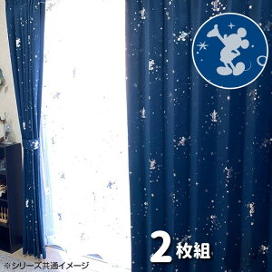 yN[|ő600~OFF!zyzfBYj[ ~bL[ J[e 2g 100×200cm SB-579-D J[e J[e ~bL[}EX ~bL[ fBYj[ Disney vCoV[ q Q V