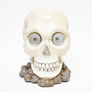 yN[|ő600~OFF!zy!!yz\[[Cg XJ 35Z` RH-629 [ [ KCRc O Cg GR \[[ u CeA  GgX K[f  z