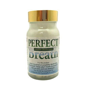 yN[|ő600~OFF!zy!!y490~zp[tFNguX Tvg VsjIBX100 L G`Pbg VsjIGLX L΍ L {