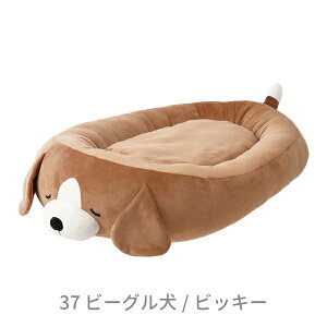 yN[|ő550~OFF!zy!!yz}V}_CJbgxbh rbL[ Ԃ͂ r[O 21017-37 tB[ybg ybgpi Lpi   NbV xbh ӂӂ 