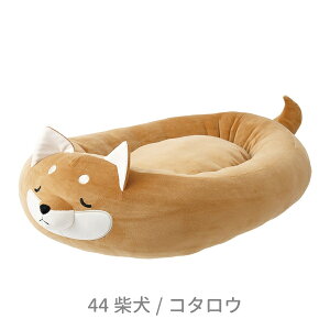 yN[|ő550~OFF!zy!!yz}V}_CJbgxbh R^E Ԃ͂ Č 21017-44 tB[ybg ybgpi Lpi   NbV xbh ӂӂ ⊴ 