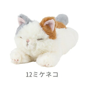 yN[|ő600~OFF!z݌ɂ!!y[֑zƂт }XRbg ~PlR 37111-12 Ԃ͂ Ki ʂ KUTATTO BIYORI L ˂ lR OєL ӂӂ  }E