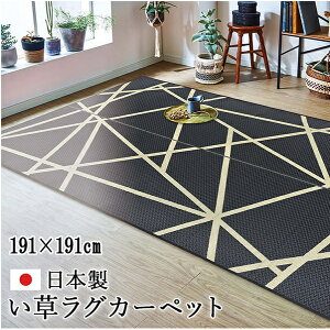 yN[|ő600~OFF!zyzO  _ FB ubN 191×191cm CPqR IKEHIKO J[ybg 2  L C bNX { a aeCXg a