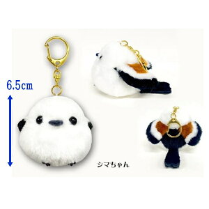 yN[|ő600~OFF!z݌ɂ!Iy`OzӂӂV}GiK}XRbgL[z_[V} A~[Y 6.5cm ʂ ӂӂV}GiK  V}GiK zCg 