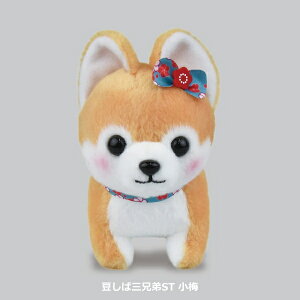 yN[|ő600~OFF!z݌ɂ!!y`OzΎOZST ~ A~[Y 13cm ̖  ʂ   Č   hbO l` ʂ ߋ 