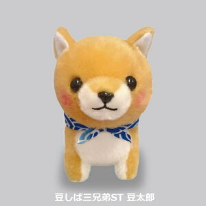 yN[|ő600~OFF!z݌ɂ!!y`OzΎOZST Y A~[Y 13cm j ʂ   Č  j  hbO l` ʂ ߋ  L