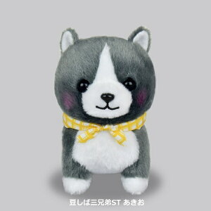 yN[|ő600~OFF!z݌ɂ!!y`OzΎOZST  A~[Y 13cm Hc ʂ  Hc    hbO l` ʂ ߋ 