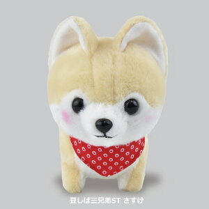 yN[|ő600~OFF!z݌ɂ!!y`OzΎOZST  A~[Y 13cm ΎOZ q ʂ   Č  j  hbO l` ʂ ߋ