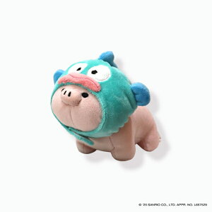 �y�N�[�|���z�z��!�z�݌ɂ���!!�y��`�O���������z�Ȃ��悵�e�m���}�X�R�b�g HG �}�C�N���u�^ (HANGYODON) ACCENT ���t���t�����Y �T�����I Sanrio �n���M���h�� �͂񂬂�ǂ� �R���{ �u�^ �� �Ԃ� 