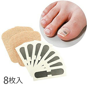 yN[|ő600~OFF!z݌ɂ!!y`Oz܃V[ 1PA 8 ܃PA   PA^  ܃K[h ڗɂ C`@NHK@ یV[