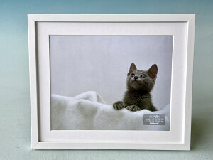 KSؐʐ^z@6؃TCY@X^ht@zCg