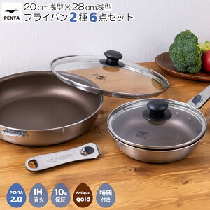 y1Pő10{zy  z y^ 2.0 tCp 26_Zbg 20cm^ 28cm^ eWt ltCp PENTA AeBbNS[h { 肪 IHΉ KXΉ I[uΉ PFOA