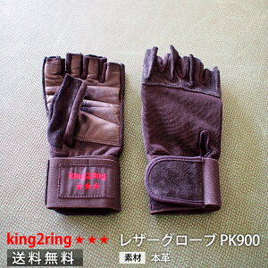 _^ king2ring ؃g EFCgteBO O[u Xgbv t {v pk900