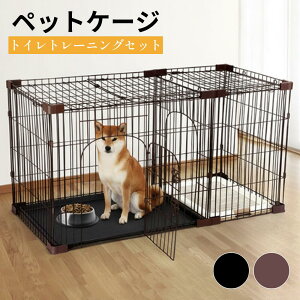  Q[W ybgT[N ybg T[N X`[ ܂肽 ܂ hA bN t P[W hbOT[N T[N gCt g[t  ybgP[W Q[W ^ ^