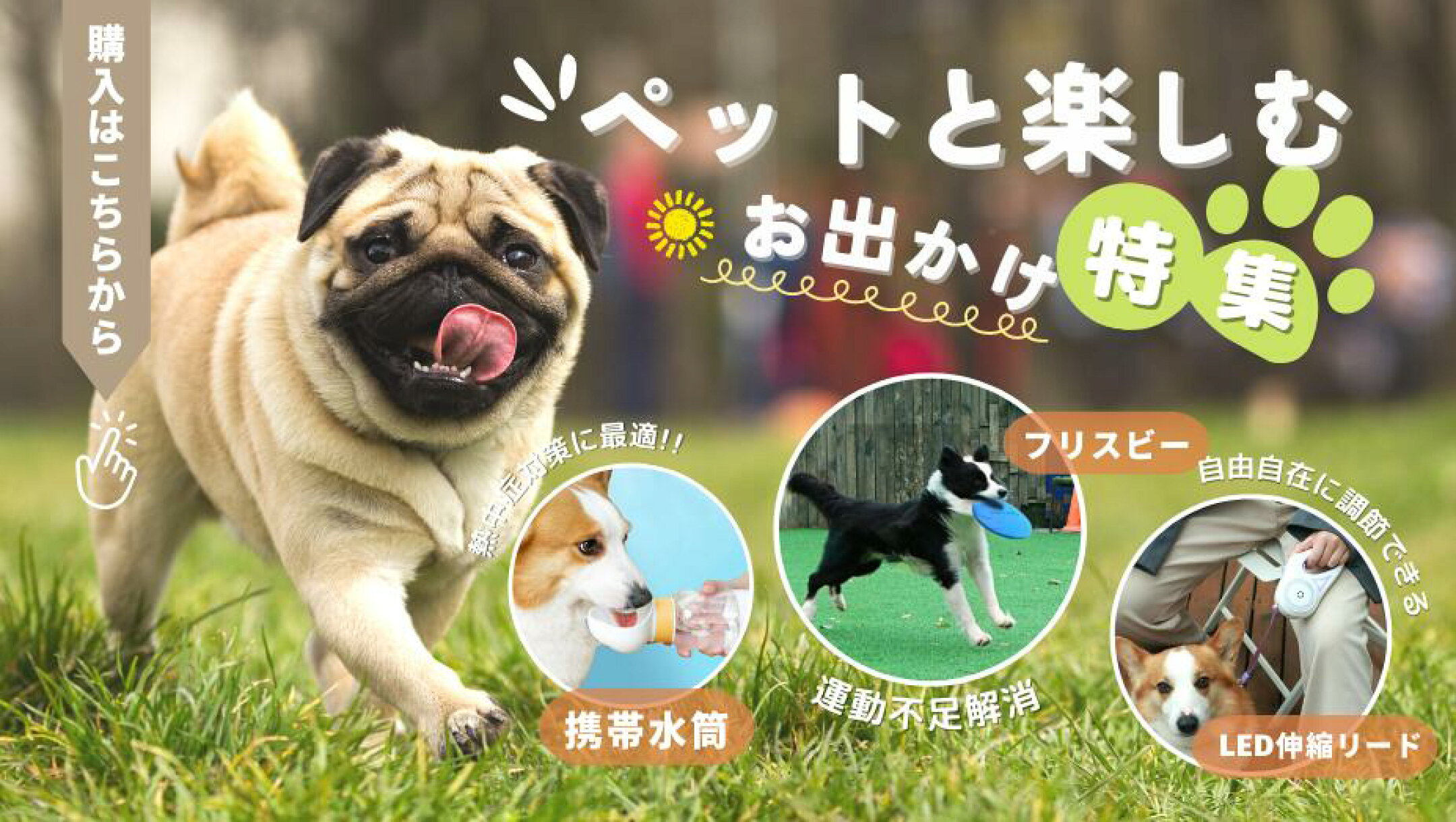 お出かけ用品