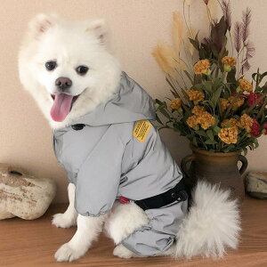  CR[g hbOEFA hbO CR[g [ht S̔ pCEFA U s o ̕  ^ ^ h ~J ybgpi ybgEFA   Xq