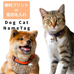 uNEWv   hbO Lbg ^O l[v[g XeX O   ʐ^v  hbO^O Lbg^O L[`[ L[`F[ qD