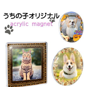 AN }Olbg Iׂ3Zbg  O vg IWi Ŗ O vg IWi 