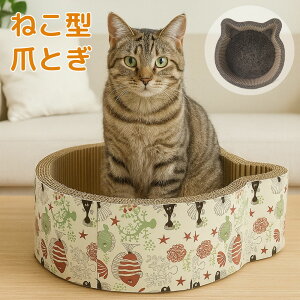 L ܂Ƃ L 났 ߂Ƃ i{[  lC ܖ Lp߂Ƃ L̂߂Ƃ XNb`[ LbgXNb`[ _{[ Lxbh L Lbg ܂Ƃ lR܂Ƃ