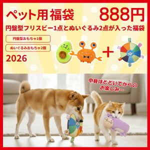    L    tXr[ ʂ Zbg ptXr[ Lpʂ ybgpi nbs[obO Vѓ XgX ^s 