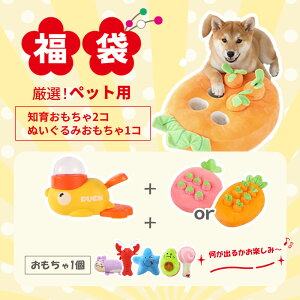 2026 2025N  m[Y[N m狋a ʂ݂ Zbg  L ObY ybg  L ybg  Zbg L Zbg m[Y[N  p m[Y[