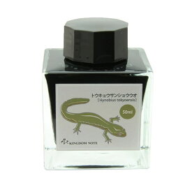 楽天市場 トウキョウサンショウウオの通販