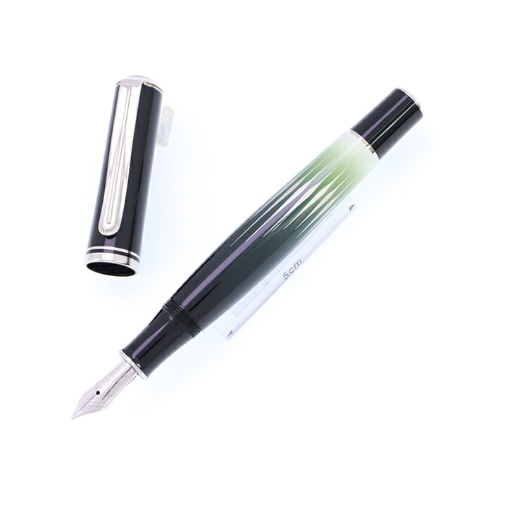 楽天市場】Pelikan ペリカン 万年筆 自然の美観シリーズ M640 ポーラー 