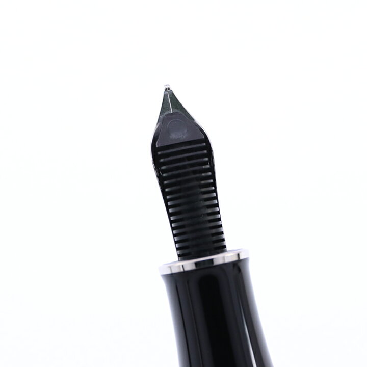 楽天市場】Pelikan ペリカン 万年筆 自然の美観シリーズ M640 ポーラー 