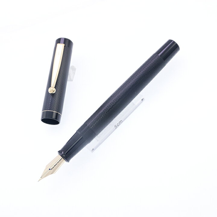 楽天市場】PILOT パイロット 万年筆 創立70周年記念 パイロット70 中  