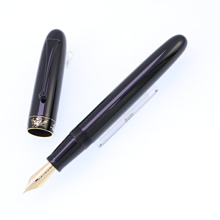 PILOT 万年筆黒字幅C