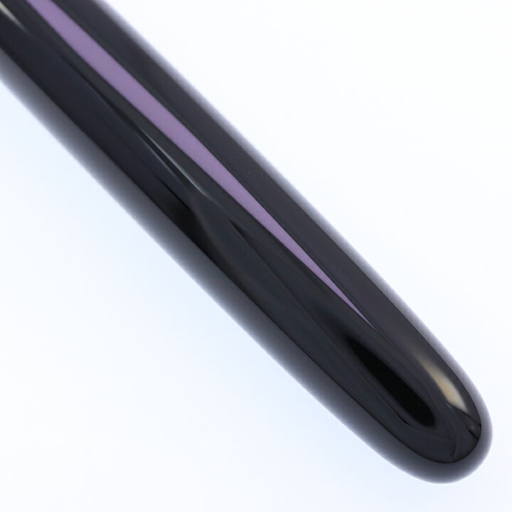 楽天市場】PILOT パイロット 万年筆 創立80周年記念 四神 漆黒 中字 