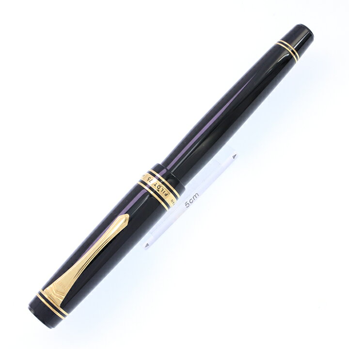 未使用◇PILOT◇パイロット◇万年筆◇創立85周年記念◇飛翔天人◇B 