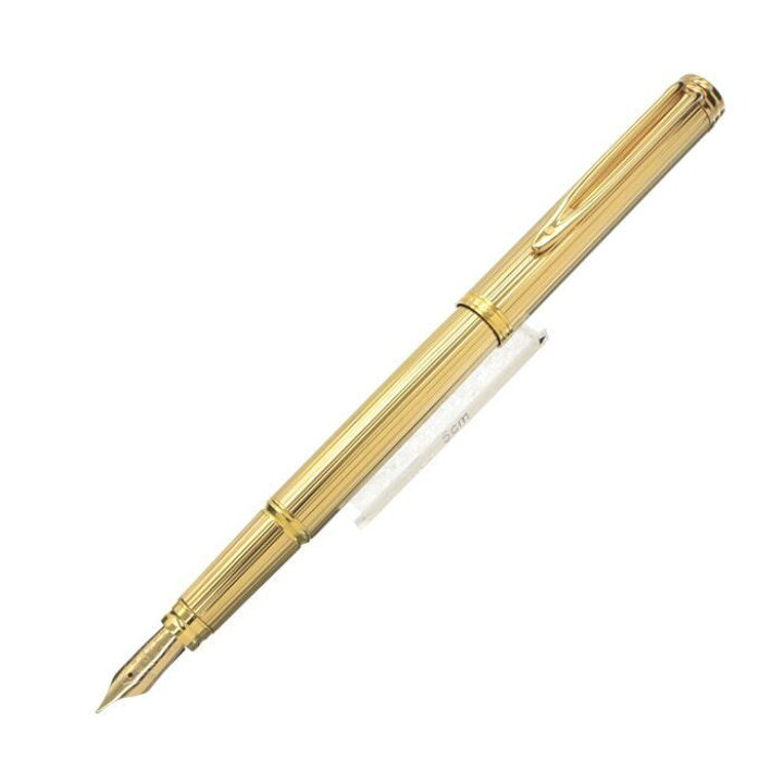 楽天市場】WATERMAN ウォーターマン 万年筆 ジェントルマン100  