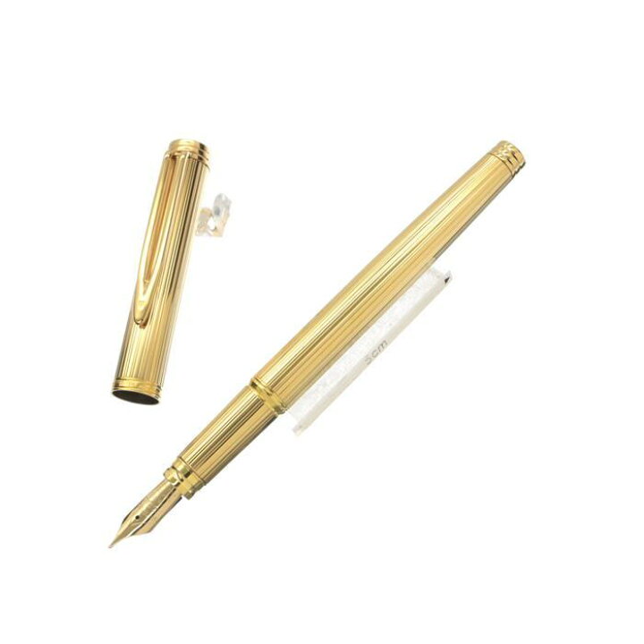 楽天市場】WATERMAN ウォーターマン 万年筆 ジェントルマン100  