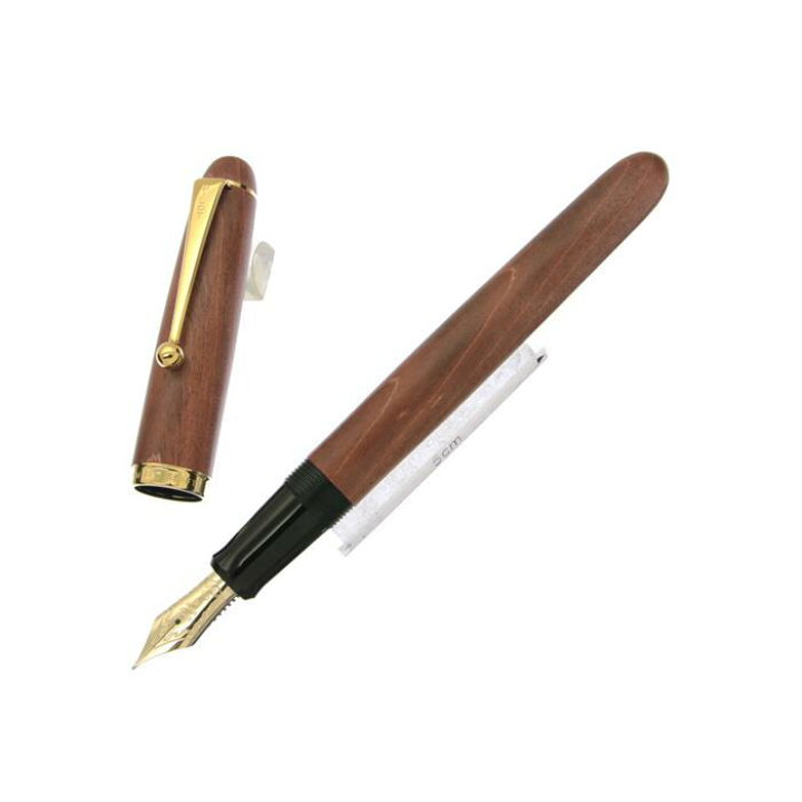 楽天市場】PILOT パイロット 万年筆 カスタム カエデ 細字【中古-美品 