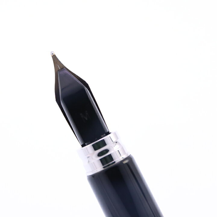 楽天市場】WATERMAN ウォーターマン 万年筆 ル・マン200 ナイト&デイ 