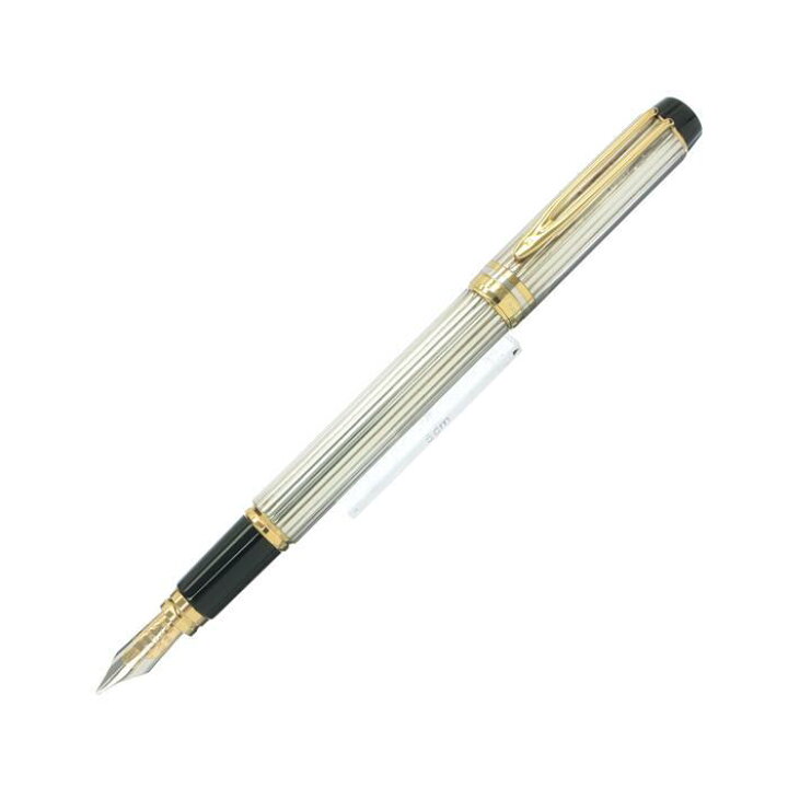 楽天市場】WATERMAN ウォーターマン 万年筆 ル・マン100 ソリッド 