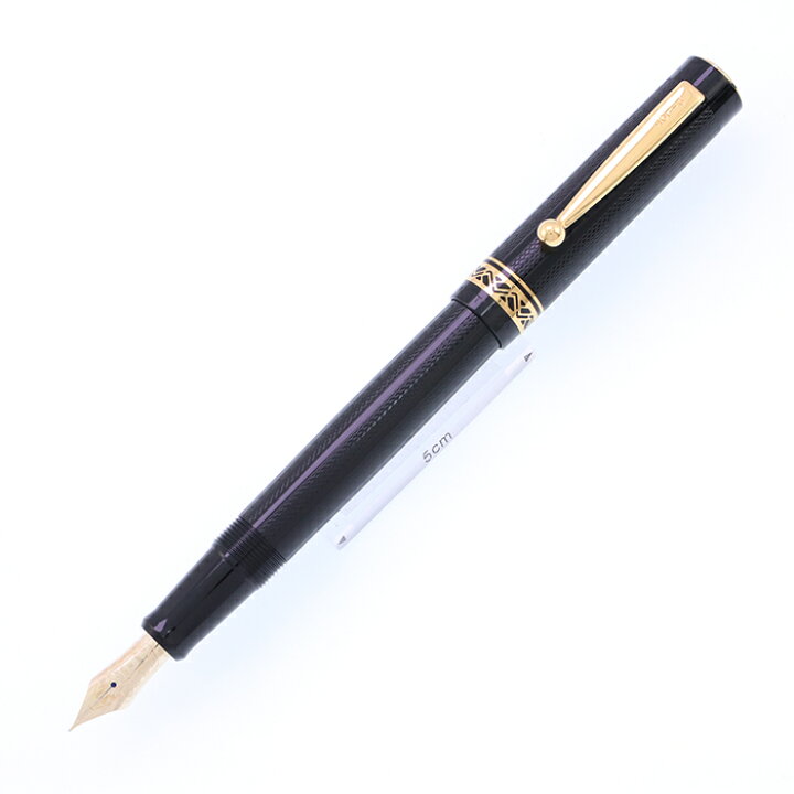 楽天市場】PILOT パイロット 万年筆 カスタム72 ブラック 硬細字【中古 
